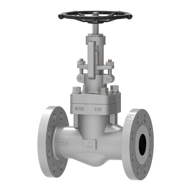 Forged Steel Globe Valve